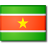 SR-Domain - Surinam